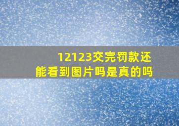 12123交完罚款还能看到图片吗是真的吗