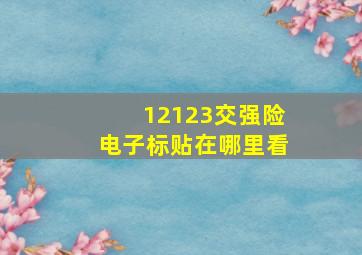 12123交强险电子标贴在哪里看