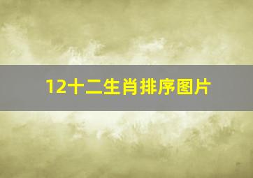 12十二生肖排序图片