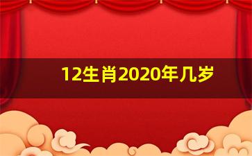 12生肖2020年几岁