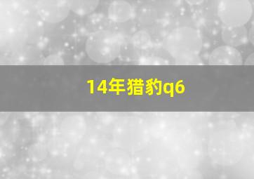 14年猎豹q6