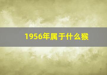 1956年属于什么猴