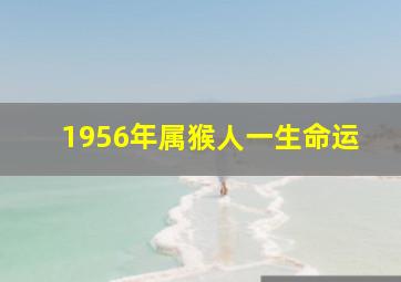 1956年属猴人一生命运