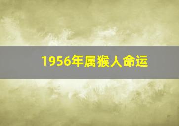 1956年属猴人命运