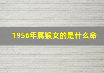 1956年属猴女的是什么命