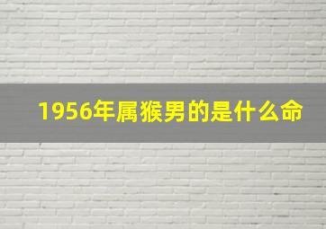 1956年属猴男的是什么命