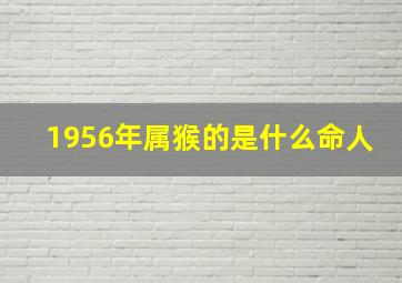 1956年属猴的是什么命人