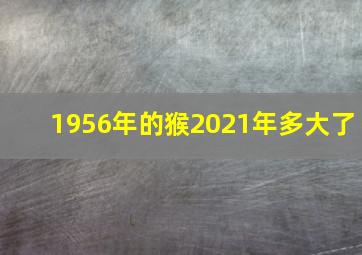 1956年的猴2021年多大了