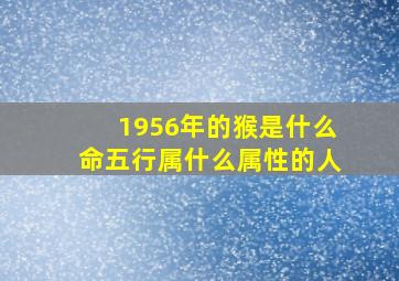 1956年的猴是什么命五行属什么属性的人