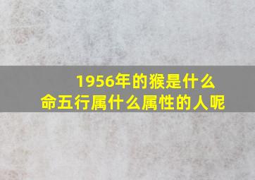 1956年的猴是什么命五行属什么属性的人呢