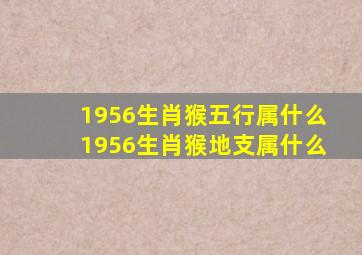 1956生肖猴五行属什么1956生肖猴地支属什么