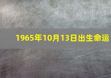 1965年10月13日出生命运