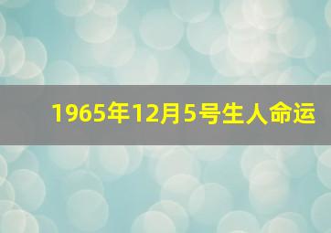 1965年12月5号生人命运