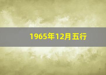 1965年12月五行