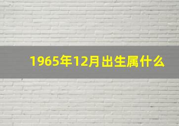 1965年12月出生属什么