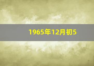 1965年12月初5