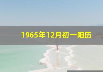 1965年12月初一阳历