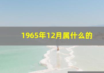 1965年12月属什么的