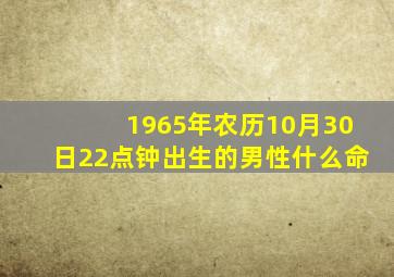 1965年农历10月30日22点钟出生的男性什么命