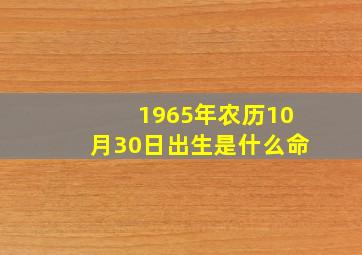 1965年农历10月30日出生是什么命