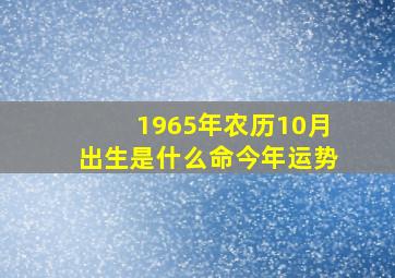 1965年农历10月出生是什么命今年运势