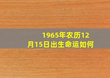 1965年农历12月15日出生命运如何