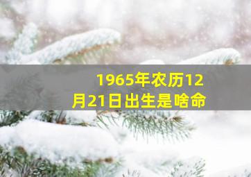 1965年农历12月21日出生是啥命