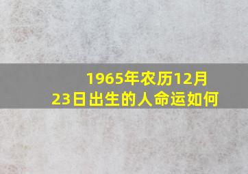 1965年农历12月23日出生的人命运如何