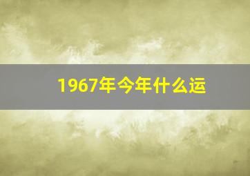 1967年今年什么运