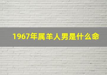 1967年属羊人男是什么命