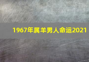 1967年属羊男人命运2021