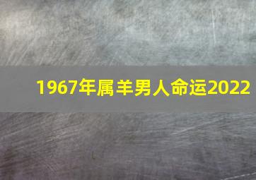 1967年属羊男人命运2022