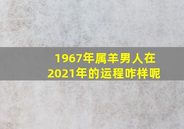 1967年属羊男人在2021年的运程咋样呢