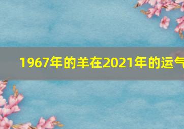 1967年的羊在2021年的运气