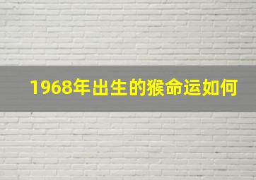 1968年出生的猴命运如何