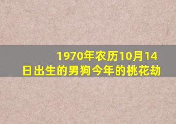 1970年农历10月14日出生的男狗今年的桃花劫