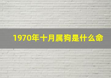 1970年十月属狗是什么命