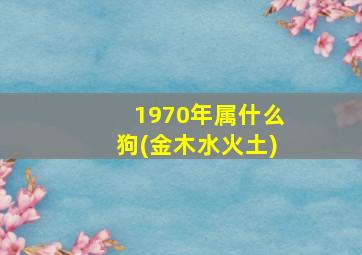 1970年属什么狗(金木水火土)