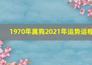 1970年属狗2021年运势运程