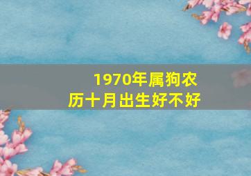 1970年属狗农历十月出生好不好