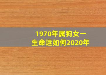 1970年属狗女一生命运如何2020年