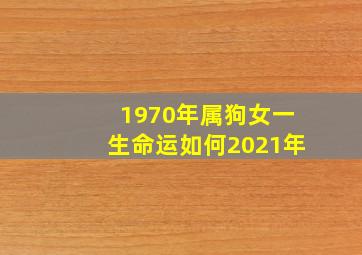 1970年属狗女一生命运如何2021年