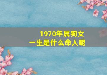 1970年属狗女一生是什么命人呢