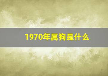 1970年属狗是什么