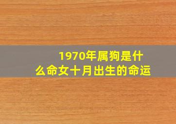 1970年属狗是什么命女十月出生的命运