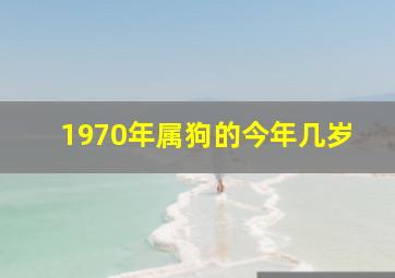 1970年属狗的今年几岁