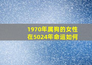 1970年属狗的女性在5024年命运如何