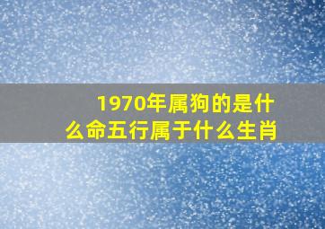 1970年属狗的是什么命五行属于什么生肖