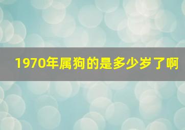 1970年属狗的是多少岁了啊