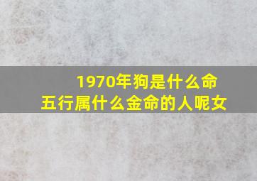 1970年狗是什么命五行属什么金命的人呢女